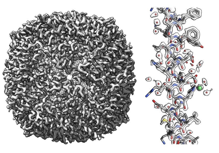 Atom Or Noise? New Method Helps Cryo-EM Researchers Tell The Difference ...